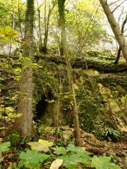 05 Križevec - pečine (Foto 5, Arhiv ZRSVN OE Celje)